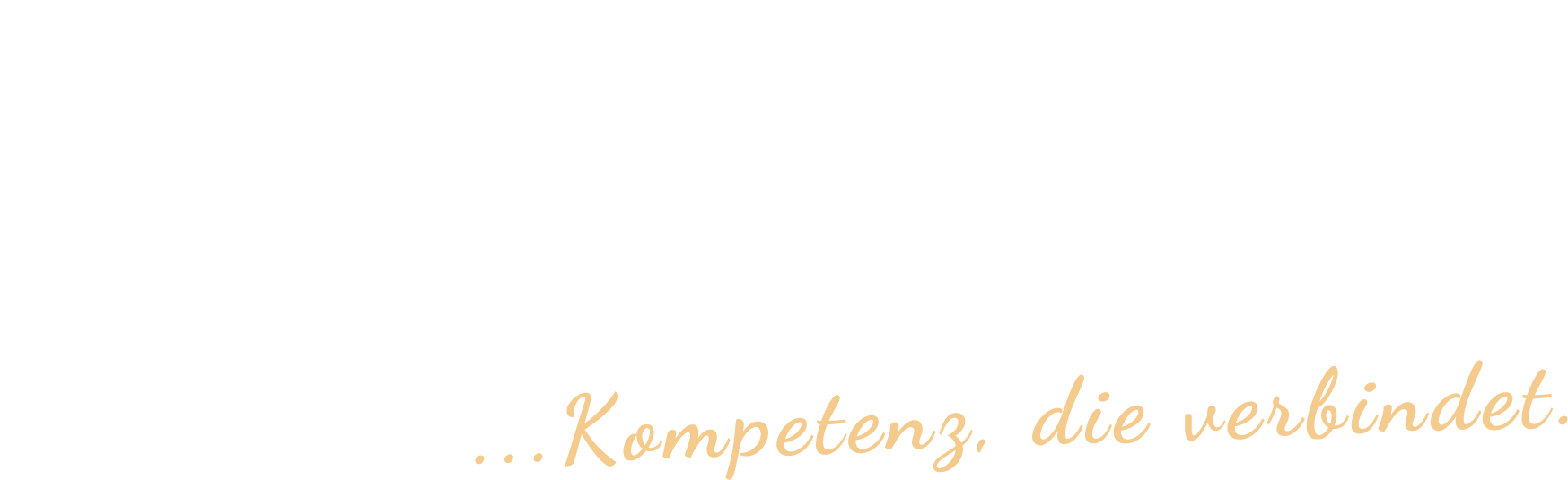 Prahm Zimmerei & Holzbau GmbH